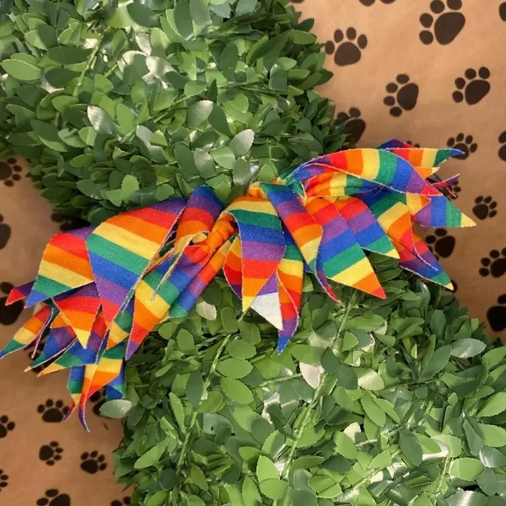 Rainbow Dog Collar Size M